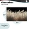 Stupell Industries White Feathers Windblown Grasses Canvas, design by Decent Exposures